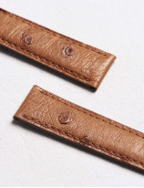 17.01 Leather watch strap in ostrich