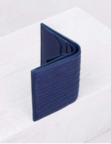 Wallet Cards and Coins