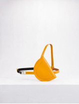 Holster