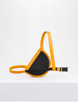 Holster